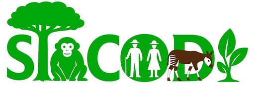 SYNERGIE DES INITIATIVES ET ACTIONS  COMMUNAUTAIRE POUR LE DEVELOPPEMENT   INTEGRAL