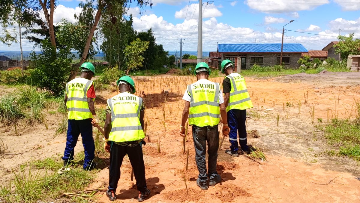 Projet de lutte anti érosive pour la protection des ouvrages moyen tension (MT) et basse tension (BT) à travers la plantation des bambous et vétivers